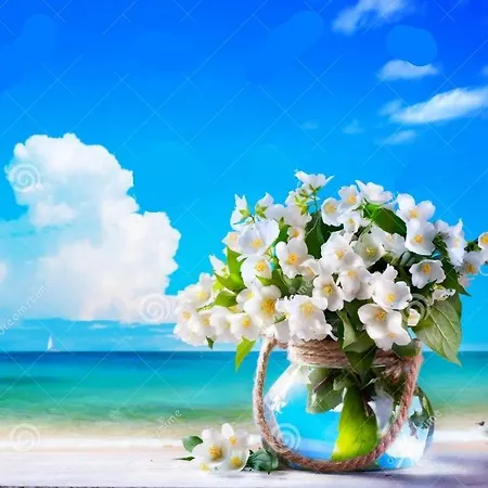 Bertha Fronte Mare 3* 리도 디 예솔로